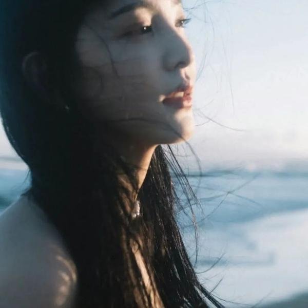 不进花瓶的洋甘菊 在线观看