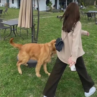兽娘动物园 在线观看