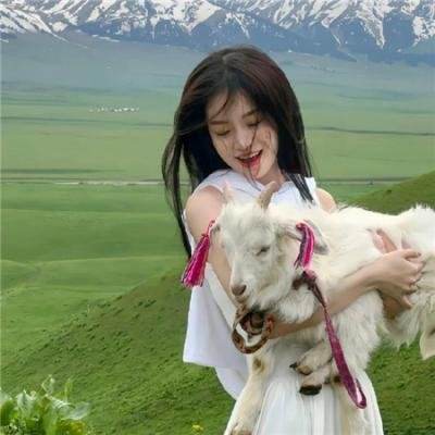 汪汪队立大功之超能救援 在线观看
